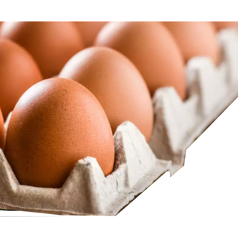 Medium Eggs - Brown