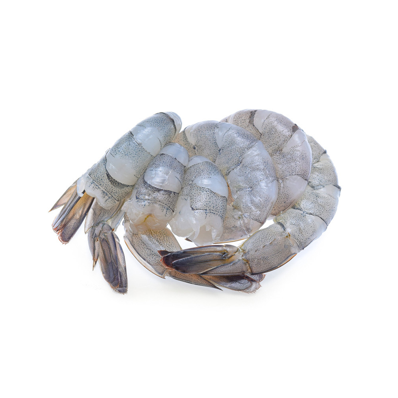Shrimp