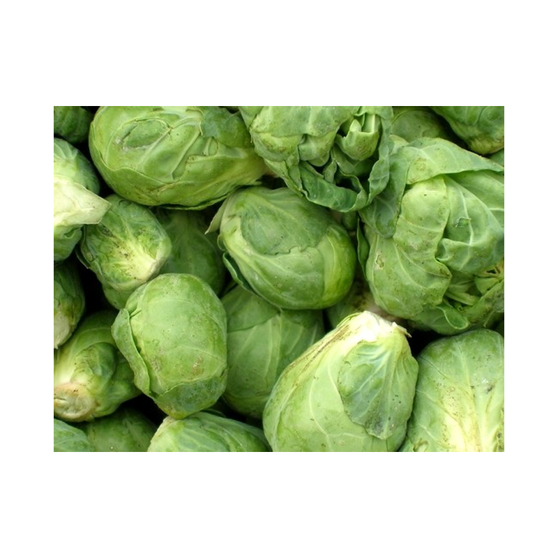 Brussels Sprouts