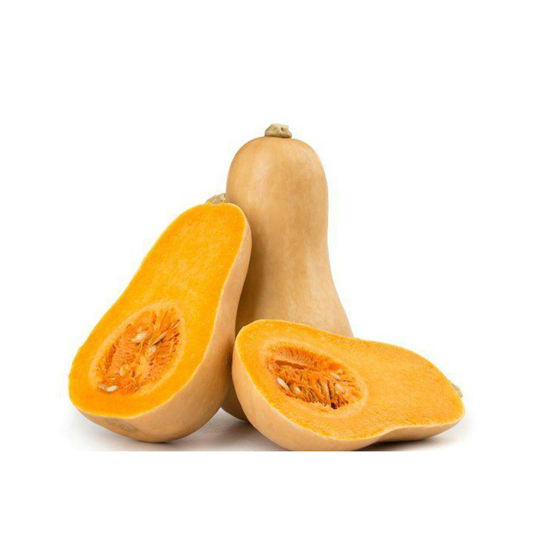 Butternut Squash