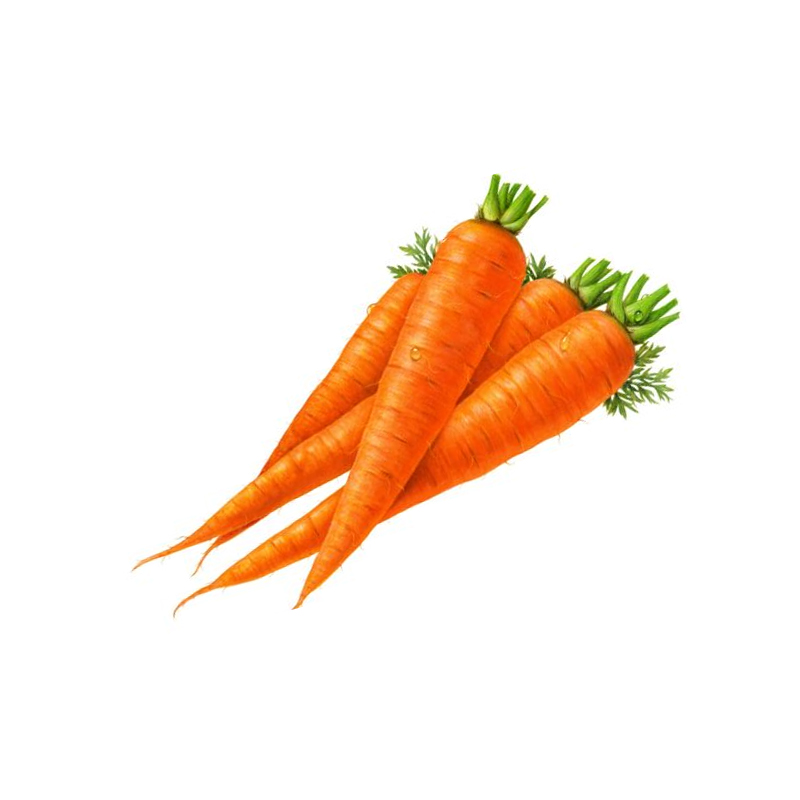 Carrots, bunch