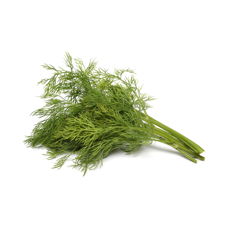 Dill Weed