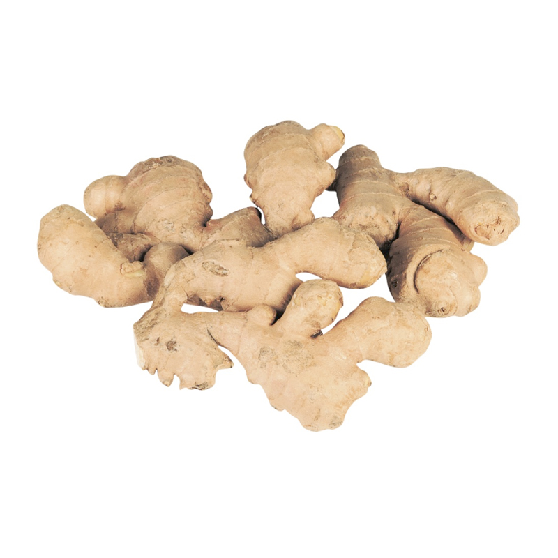 Ginger Root