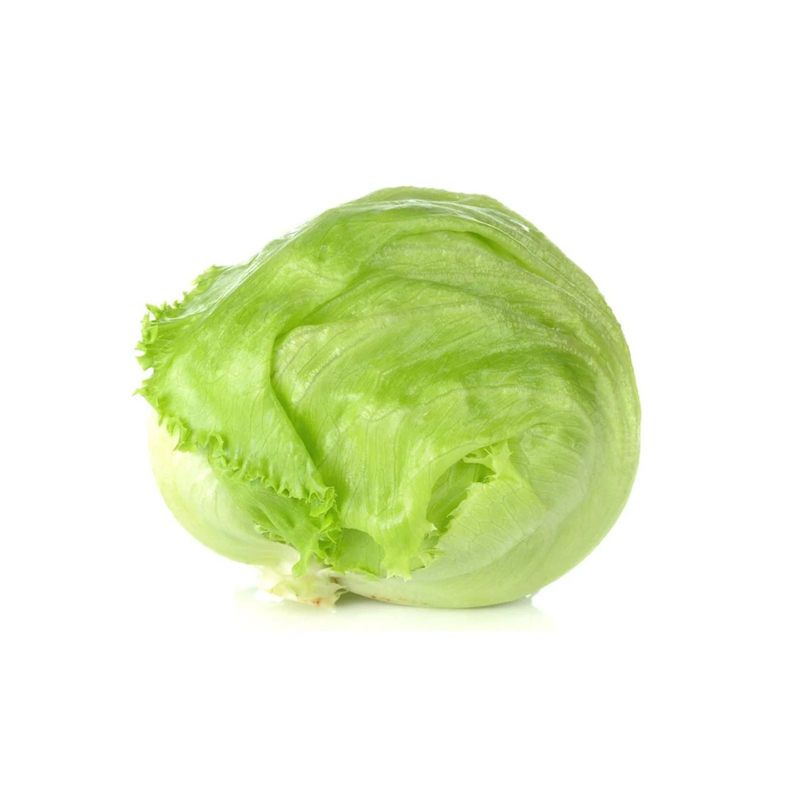 Iceberg Lettuce