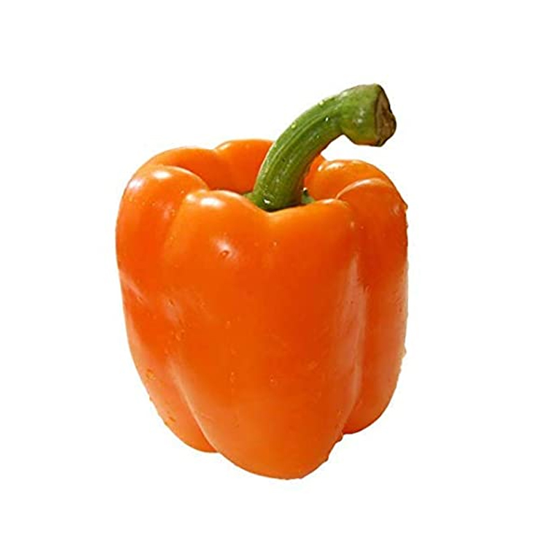Orange Bell Pepper