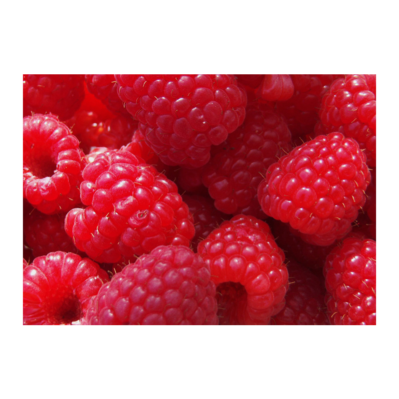 Raspberries