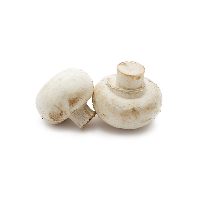 White Mushrooms